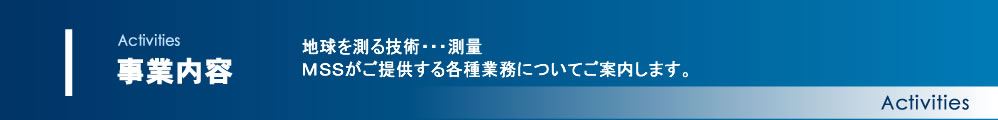 ＭＳＳ　事業内容