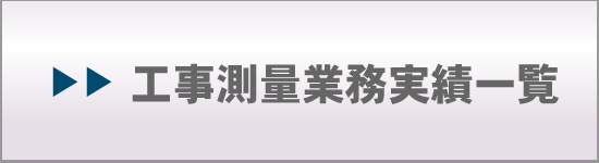 測量業務実績一覧