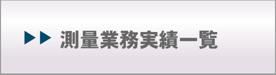 測量業務実績一覧